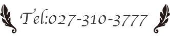 TEL:027-310-3777