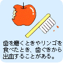 歯を磨くときやリンゴを食べたとき、歯ぐきから出血することがある。